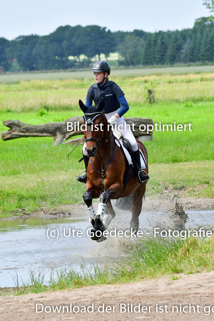 Goldene Schärpe PFerde  in Löningen  11+12.6.22 | 11062022 - Gelände 5 Abt