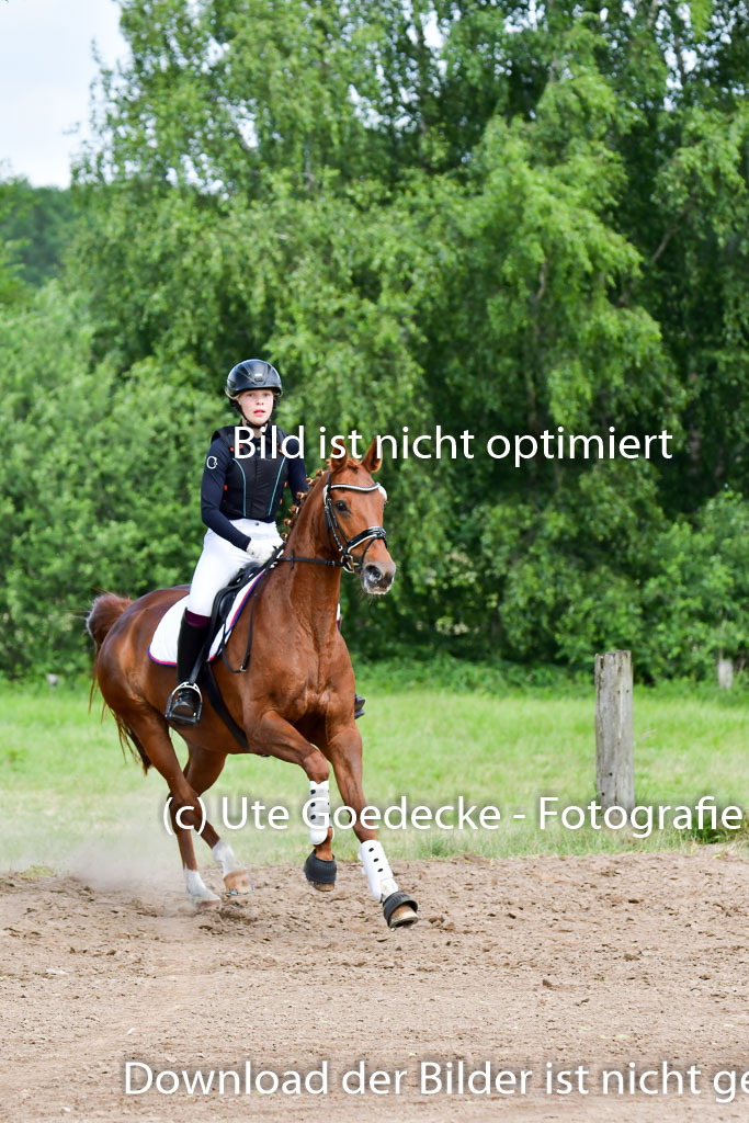 Goldene Schärpe PFerde  in Löningen  11+12.6.22 | 11062022 - Gelände 50 Abt 