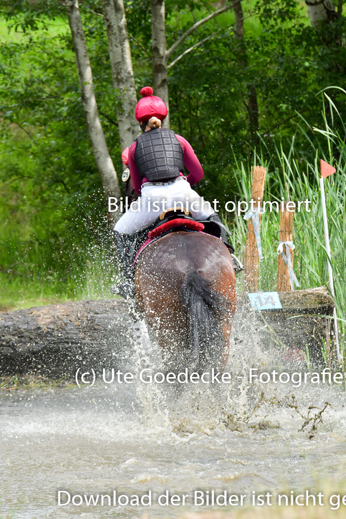 Goldene Schärpe Pferde  in Löningen  11+12.6.22 | 11062022 - Gelände 500 Abt 