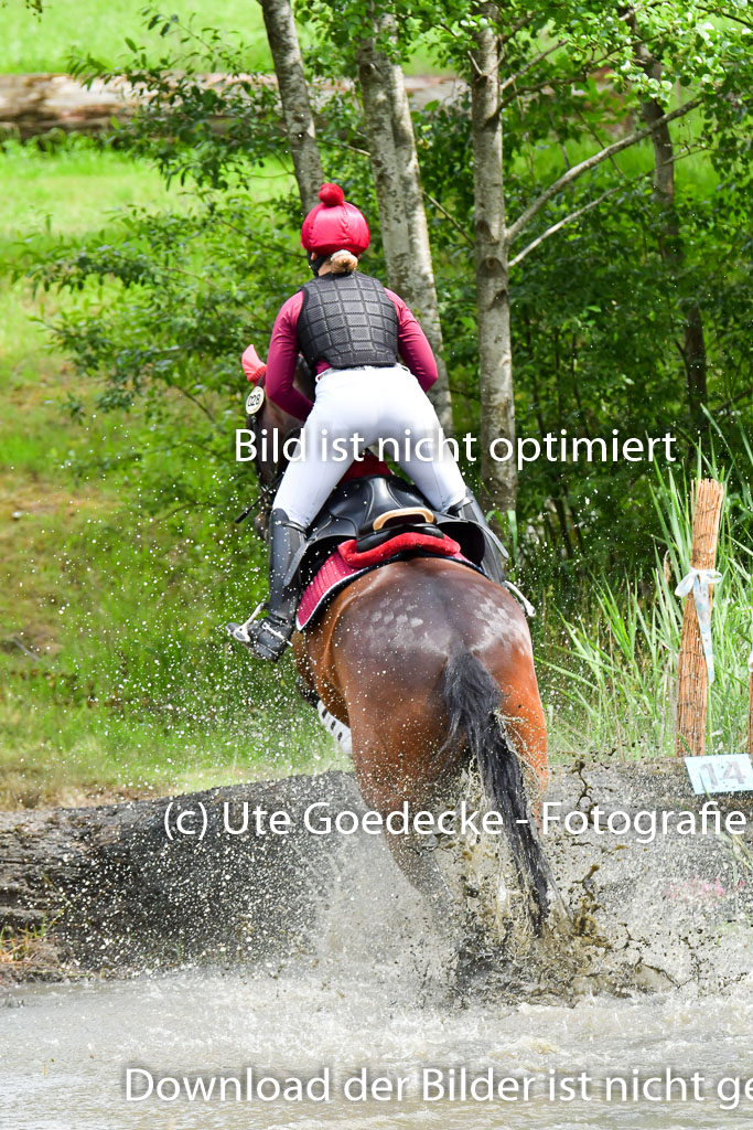 Goldene Schärpe Pferde  in Löningen  11+12.6.22 | 11062022 - Gelände 501 Abt