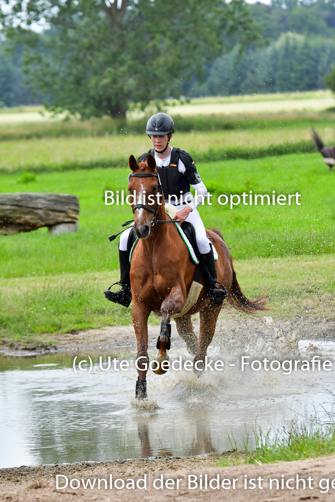 Goldene Schärpe Pferde  in Löningen  11+12.6.22 | 11062022 - Gelände 508 Abt
