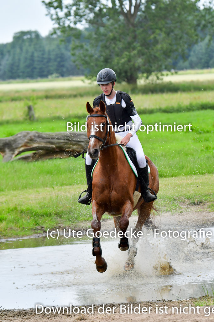 Goldene Schärpe Pferde  in Löningen  11+12.6.22 | 11062022 - Gelände 509 Abt