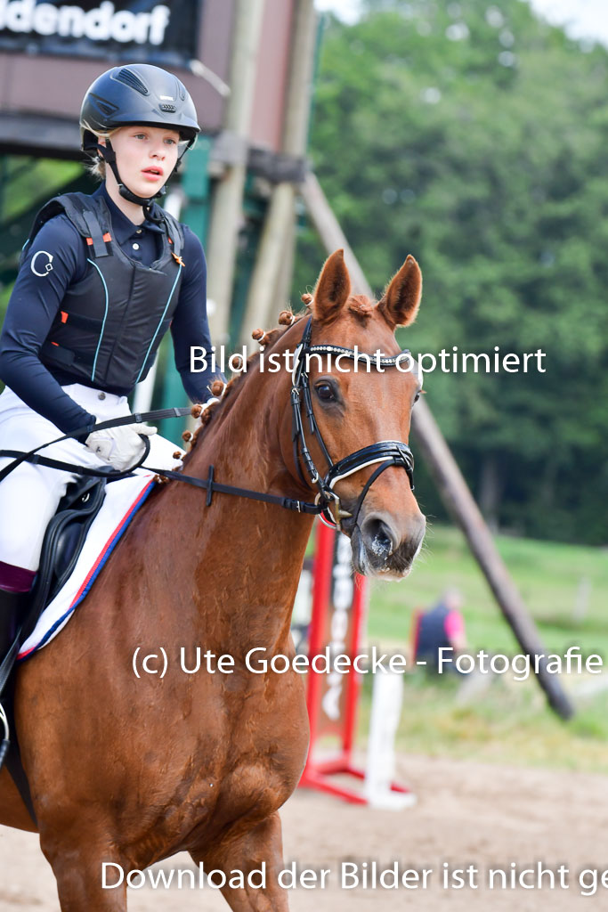 Goldene Schärpe PFerde  in Löningen  11+12.6.22 | 11062022 - Gelände 51 Abt