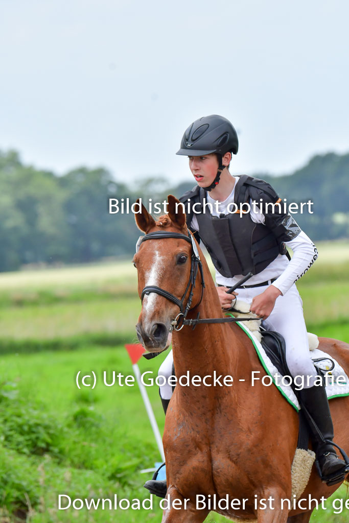 Goldene Schärpe Pferde  in Löningen  11+12.6.22 | 11062022 - Gelände 511 Abt
