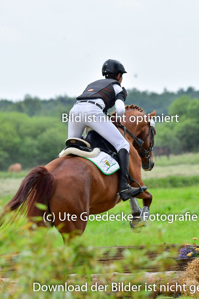 Goldene Schärpe Pferde  in Löningen  11+12.6.22 | 11062022 - Gelände 513 Abt