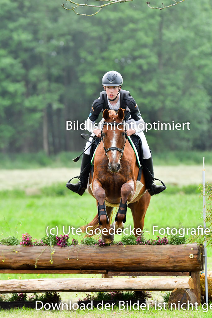 Goldene Schärpe Pferde  in Löningen  11+12.6.22 | 11062022 - Gelände 515 Abt