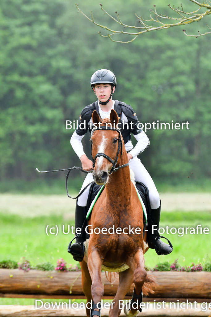 Goldene Schärpe Pferde  in Löningen  11+12.6.22 | 11062022 - Gelände 517 Abt