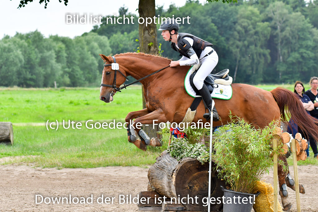 Goldene Schärpe Pferde  in Löningen  11+12.6.22 | 11062022 - Gelände 521 Abt