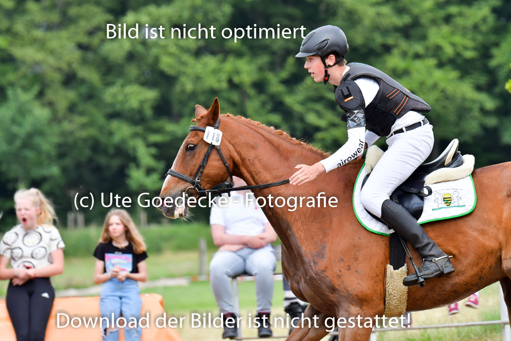 Goldene Schärpe Pferde  in Löningen  11+12.6.22 | 11062022 - Gelände 523 Abt
