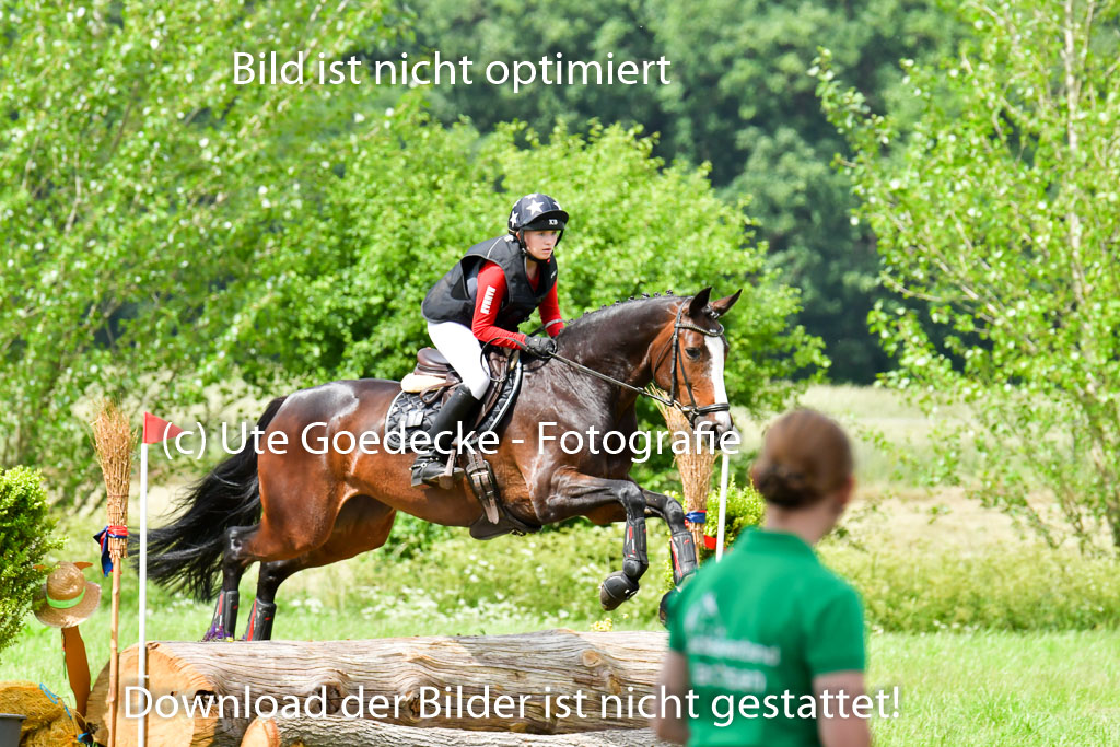 Goldene Schärpe Pferde  in Löningen  11+12.6.22 | 11062022 - Gelände 524 Abt