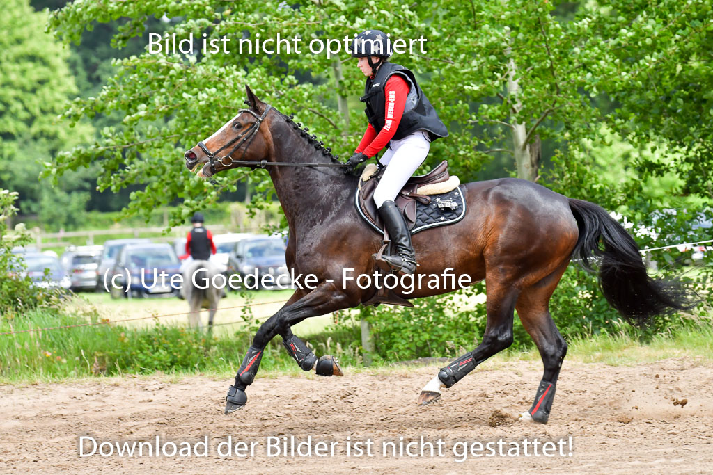 Goldene Schärpe Pferde  in Löningen  11+12.6.22 | 11062022 - Gelände 526 Abt