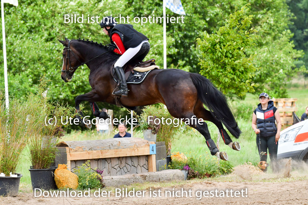 Goldene Schärpe Pferde  in Löningen  11+12.6.22 | 11062022 - Gelände 527 Abt