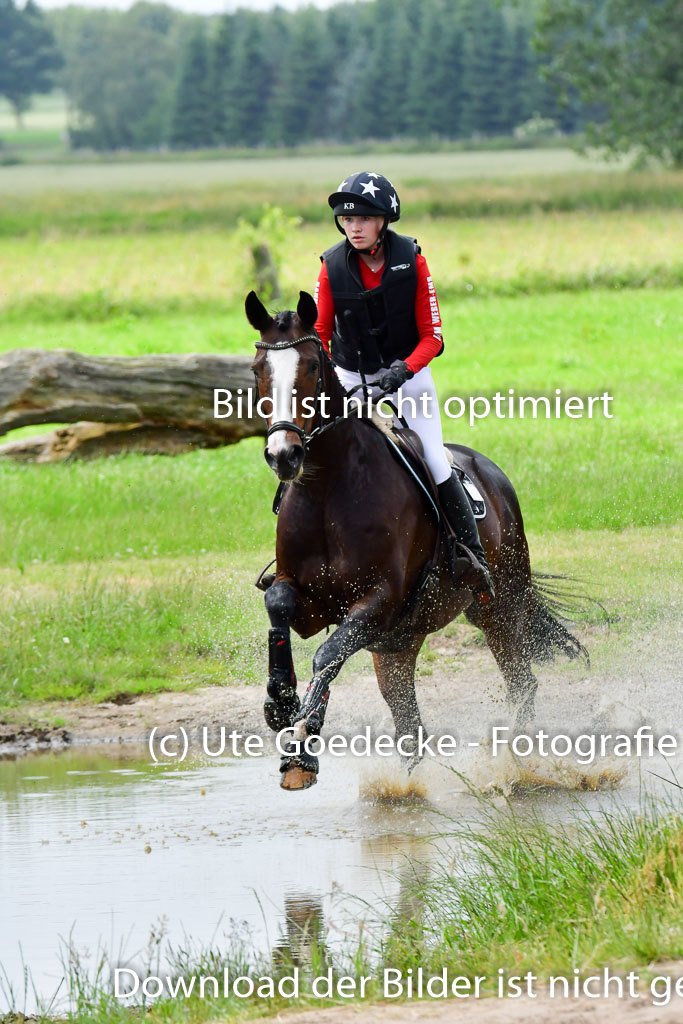 Goldene Schärpe Pferde  in Löningen  11+12.6.22 | 11062022 - Gelände 528 Abt