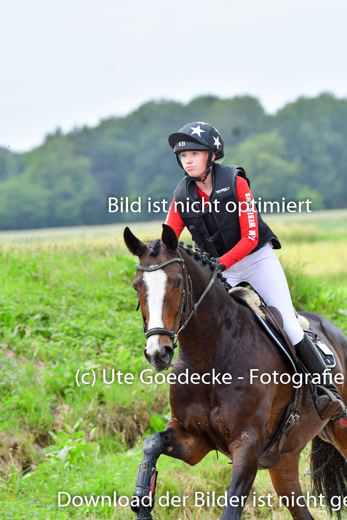 Goldene Schärpe Pferde  in Löningen  11+12.6.22 | 11062022 - Gelände 532 Abt