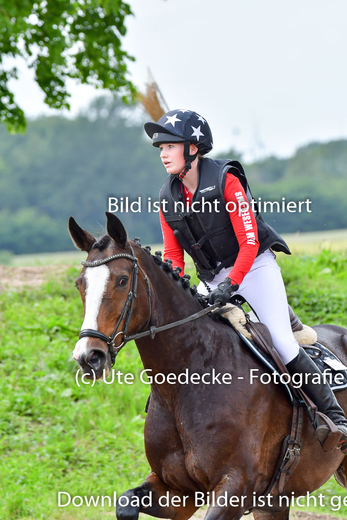 Goldene Schärpe Pferde  in Löningen  11+12.6.22 | 11062022 - Gelände 533 Abt