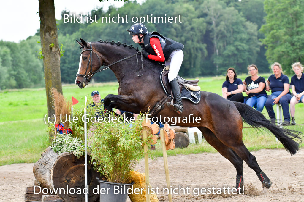Goldene Schärpe Pferde  in Löningen  11+12.6.22 | 11062022 - Gelände 538 Abt