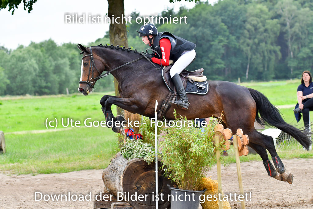 Goldene Schärpe Pferde  in Löningen  11+12.6.22 | 11062022 - Gelände 539 Abt