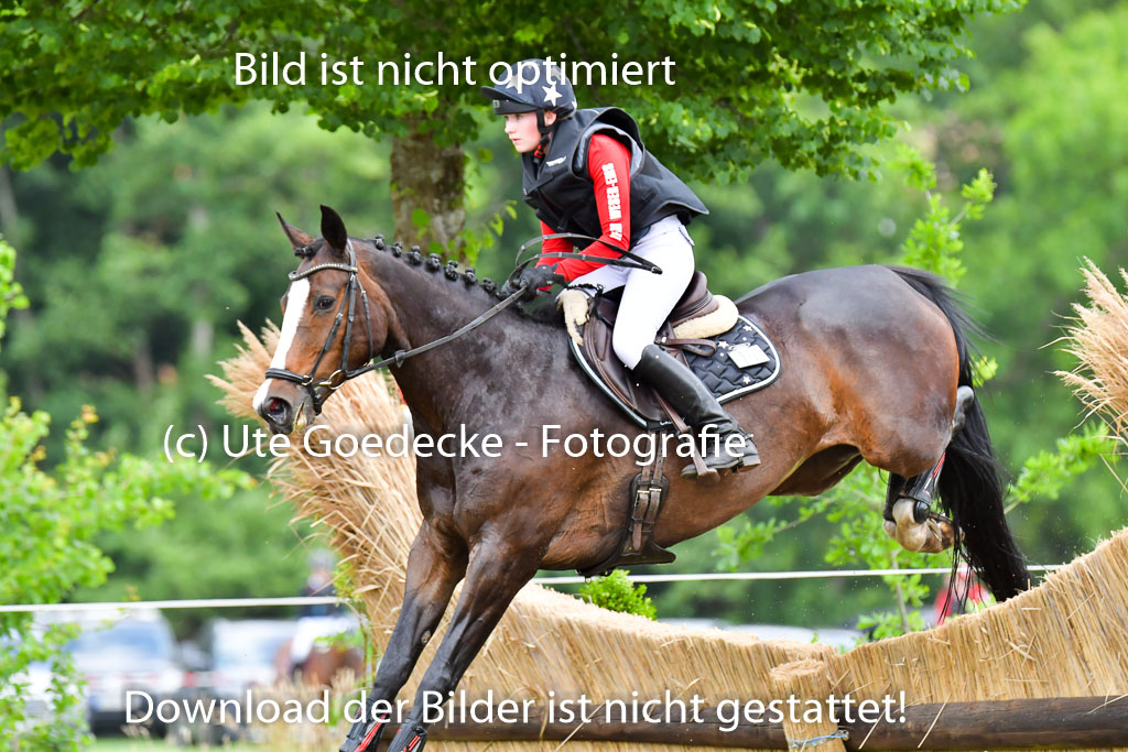 Goldene Schärpe Pferde  in Löningen  11+12.6.22 | 11062022 - Gelände 540 Abt