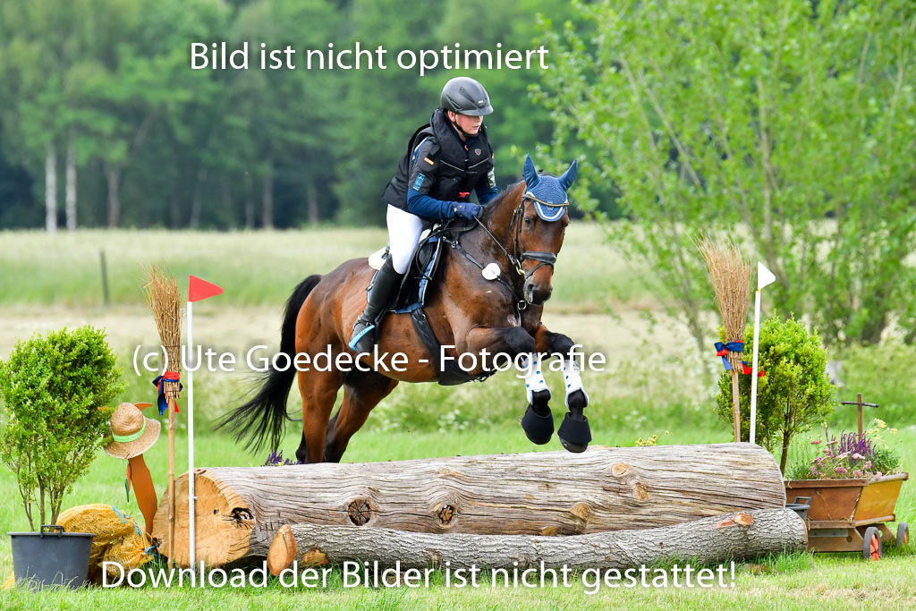 Goldene Schärpe Pferde  in Löningen  11+12.6.22 | 11062022 - Gelände 541 Abt