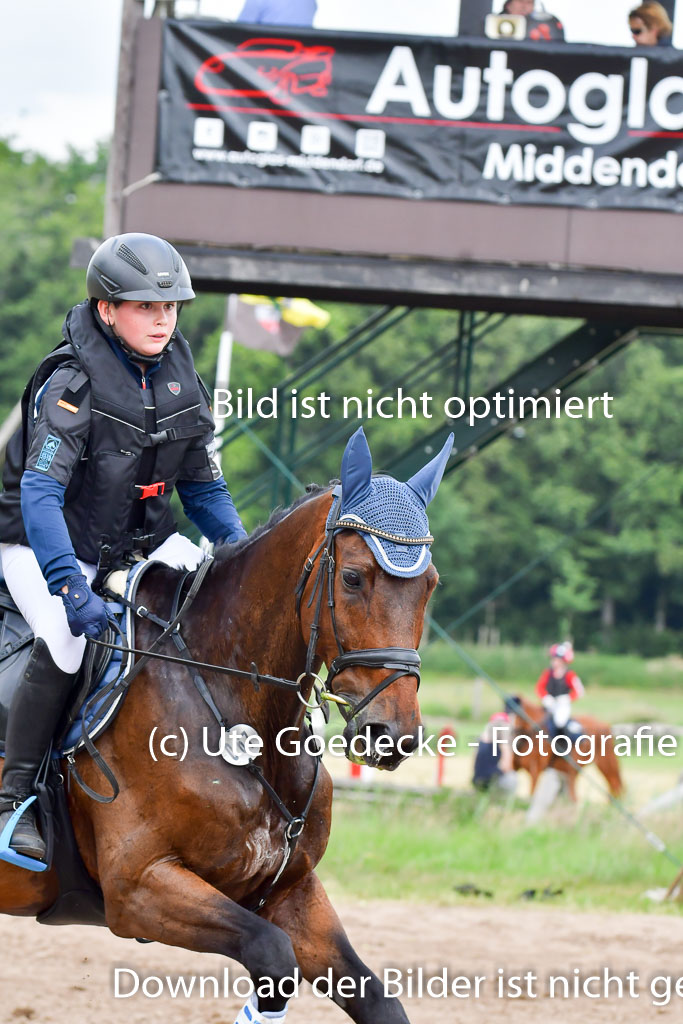 Goldene Schärpe Pferde  in Löningen  11+12.6.22 | 11062022 - Gelände 542 Abt