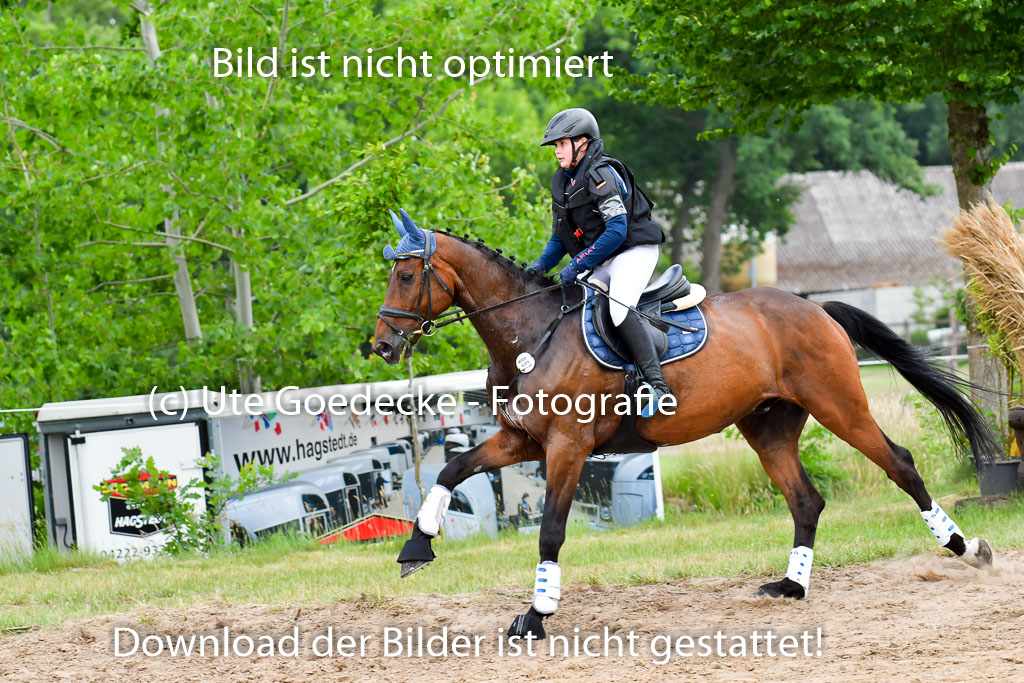 Goldene Schärpe Pferde  in Löningen  11+12.6.22 | 11062022 - Gelände 543 Abt