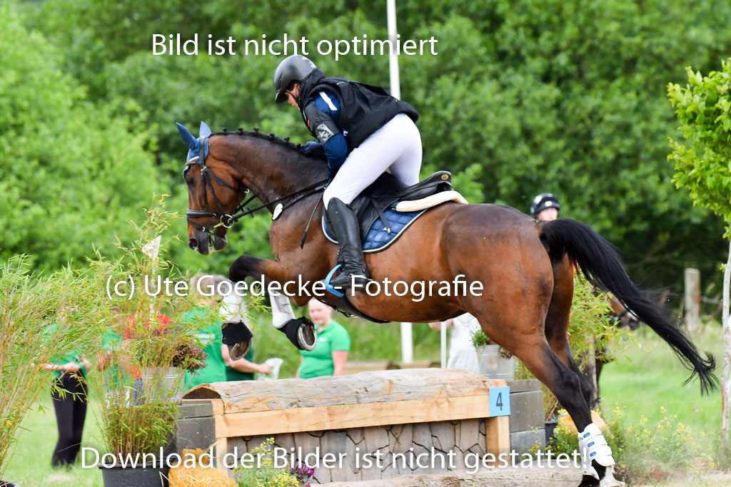 Goldene Schärpe Pferde  in Löningen  11+12.6.22 | 11062022 - Gelände 544 Abt