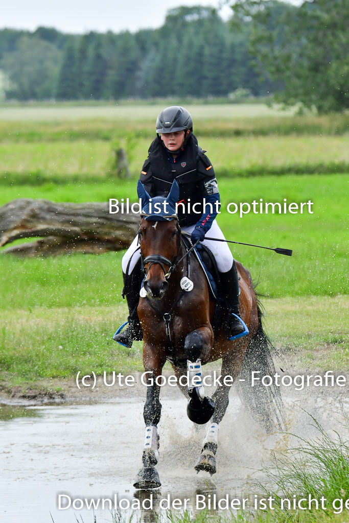 Goldene Schärpe Pferde  in Löningen  11+12.6.22 | 11062022 - Gelände 547 Abt