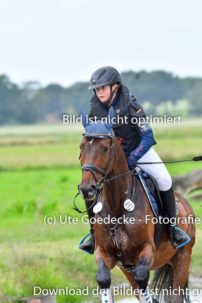 Goldene Schärpe Pferde  in Löningen  11+12.6.22 | 11062022 - Gelände 549 Abt