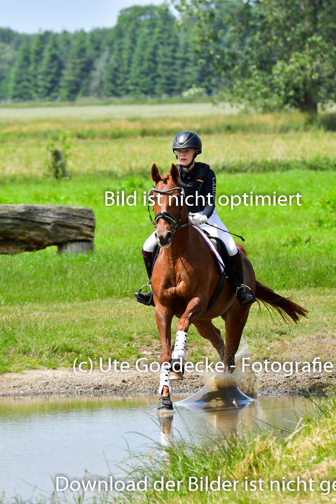 Goldene Schärpe PFerde  in Löningen  11+12.6.22 | 11062022 - Gelände 55 Abt 
