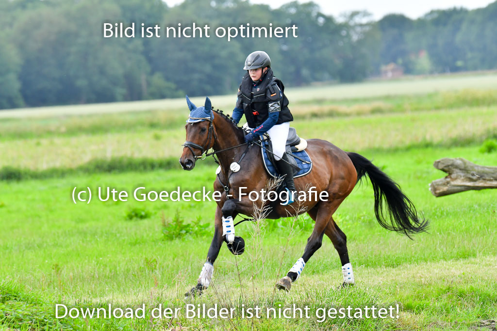 Goldene Schärpe Pferde  in Löningen  11+12.6.22 | 11062022 - Gelände 552 Abt