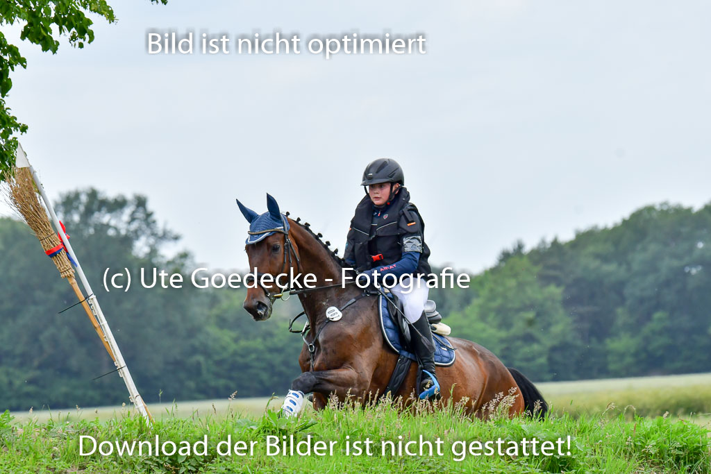 Goldene Schärpe Pferde  in Löningen  11+12.6.22 | 11062022 - Gelände 553 Abt