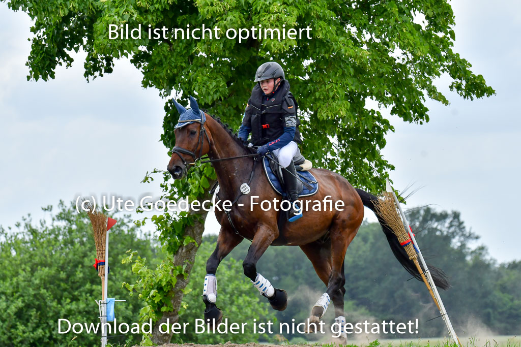 Goldene Schärpe Pferde  in Löningen  11+12.6.22 | 11062022 - Gelände 554 Abt
