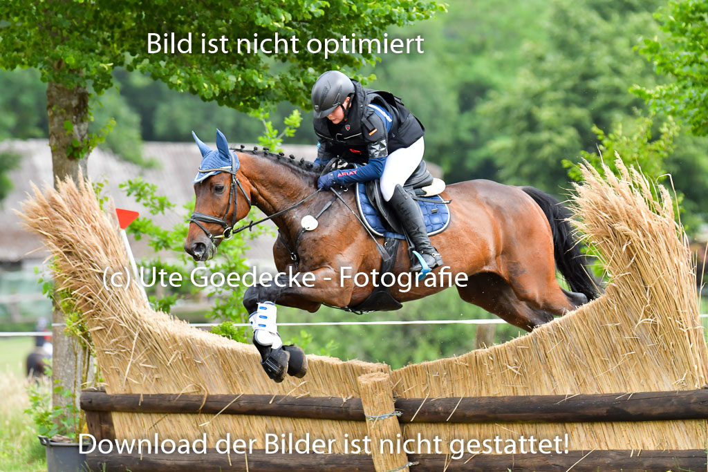 Goldene Schärpe Pferde  in Löningen  11+12.6.22 | 11062022 - Gelände 557 Abt