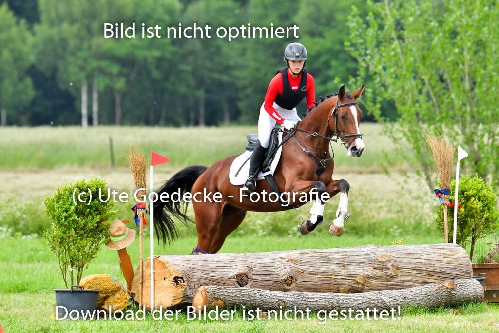 Goldene Schärpe Pferde  in Löningen  11+12.6.22 | 11062022 - Gelände 558 Abt