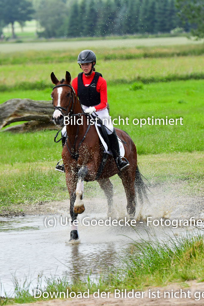 Goldene Schärpe Pferde  in Löningen  11+12.6.22 | 11062022 - Gelände 562 Abt