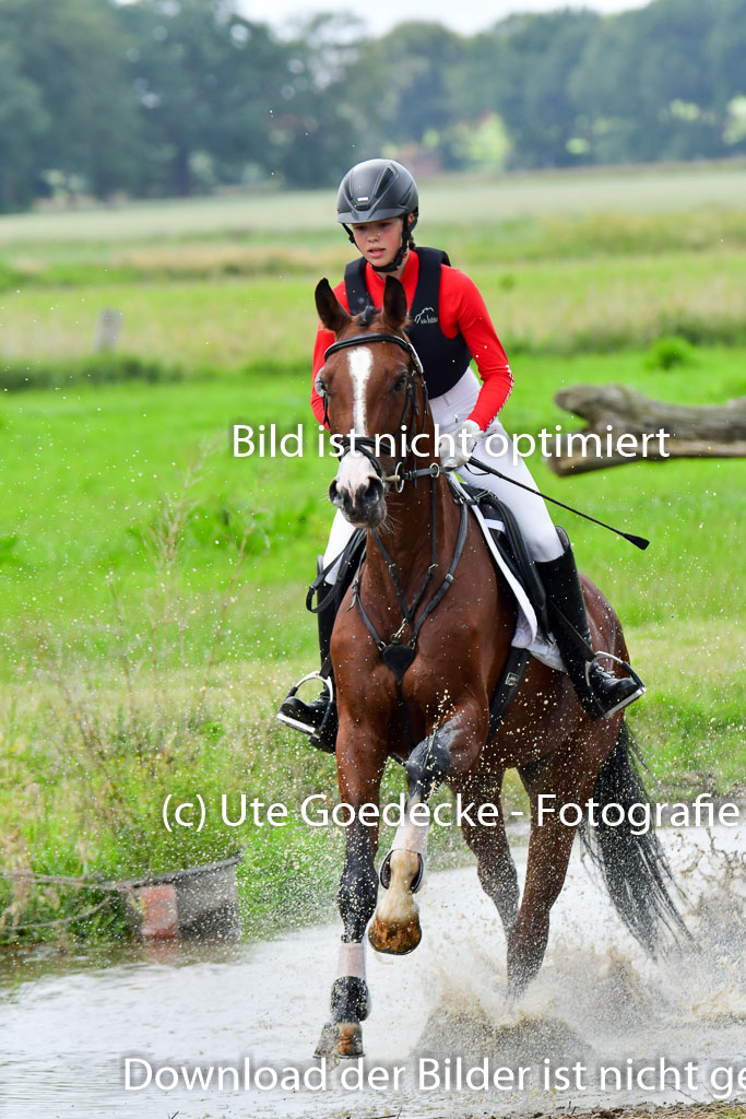 Goldene Schärpe Pferde  in Löningen  11+12.6.22 | 11062022 - Gelände 564 Abt