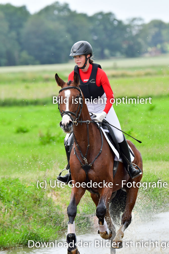 Goldene Schärpe Pferde  in Löningen  11+12.6.22 | 11062022 - Gelände 565 Abt