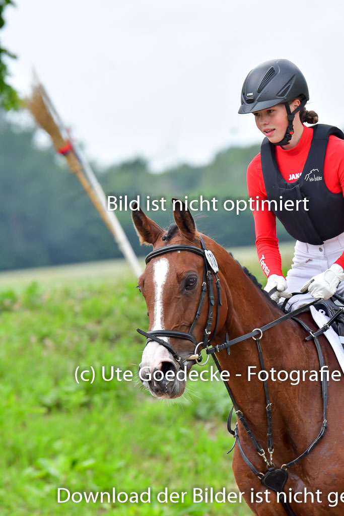 Goldene Schärpe Pferde  in Löningen  11+12.6.22 | 11062022 - Gelände 566 Abt