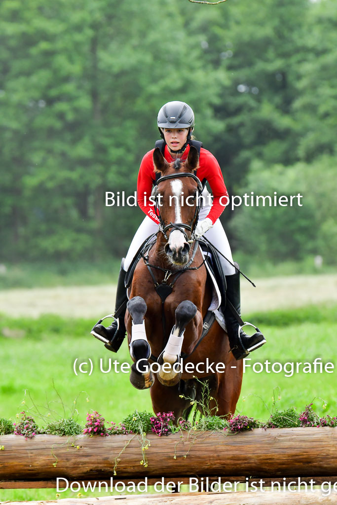 Goldene Schärpe Pferde  in Löningen  11+12.6.22 | 11062022 - Gelände 567 Abt