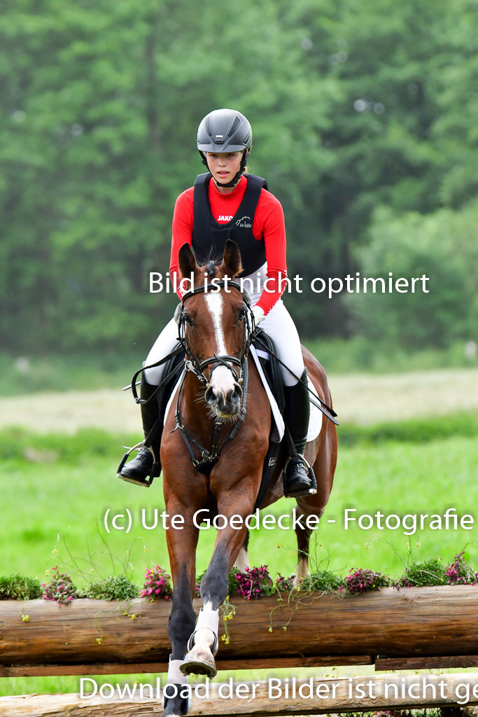 Goldene Schärpe Pferde  in Löningen  11+12.6.22 | 11062022 - Gelände 569 Abt