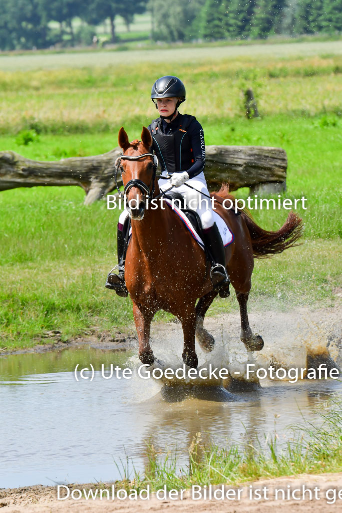 Goldene Schärpe PFerde  in Löningen  11+12.6.22 | 11062022 - Gelände 57 Abt 