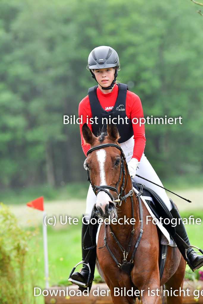 Goldene Schärpe Pferde  in Löningen  11+12.6.22 | 11062022 - Gelände 570 Abt