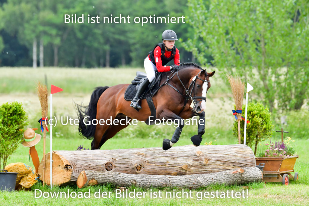 Goldene Schärpe Pferde  in Löningen  11+12.6.22 | 11062022 - Gelände 575 Abt