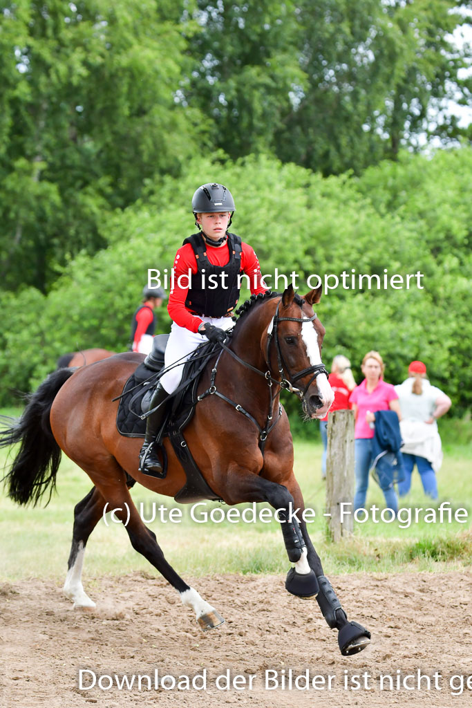 Goldene Schärpe Pferde  in Löningen  11+12.6.22 | 11062022 - Gelände 577 Abt