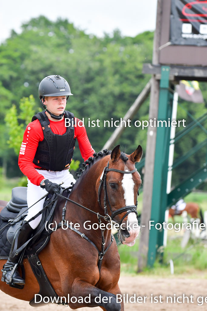 Goldene Schärpe Pferde  in Löningen  11+12.6.22 | 11062022 - Gelände 579 Abt