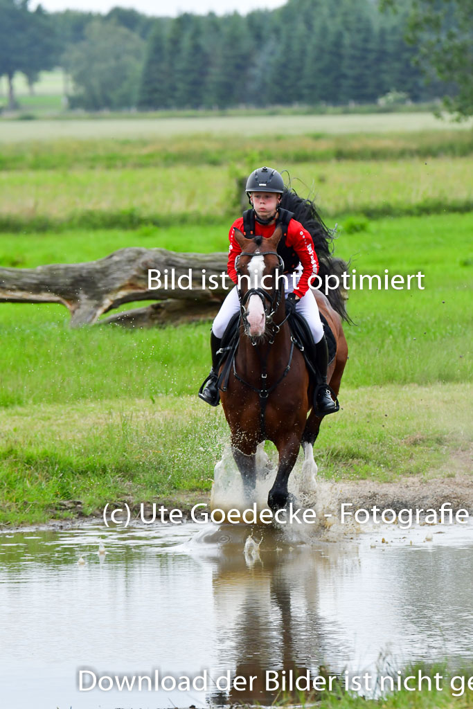 Goldene Schärpe Pferde  in Löningen  11+12.6.22 | 11062022 - Gelände 582 Abt