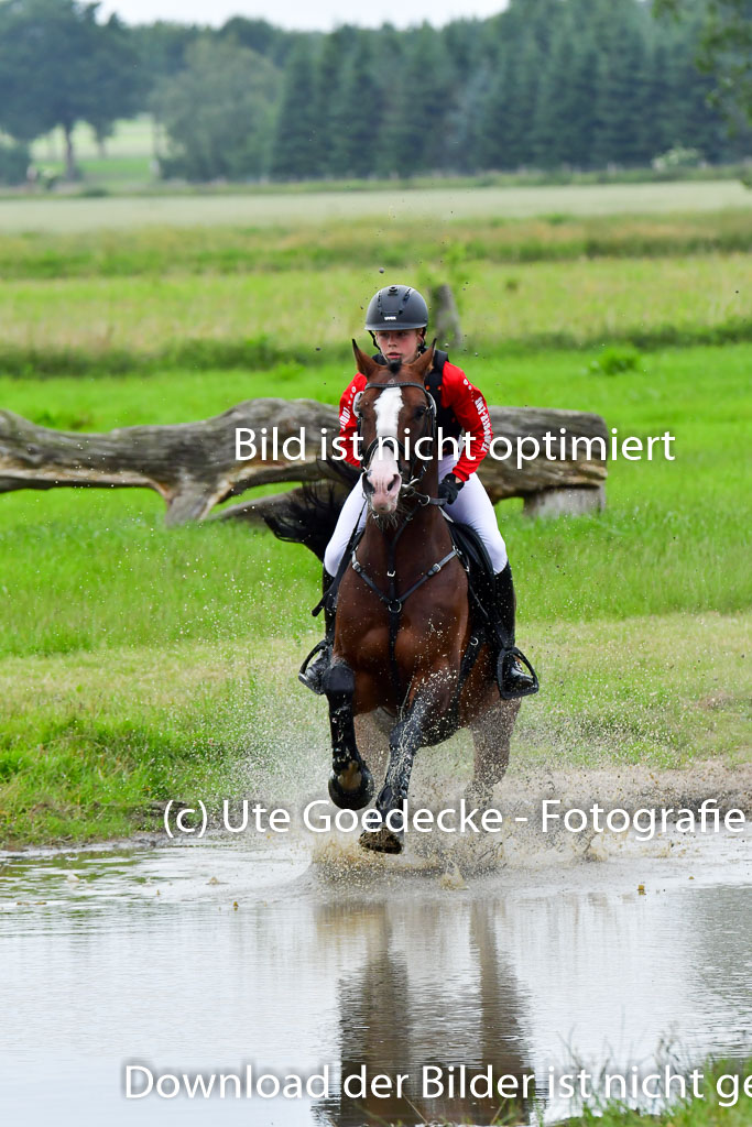 Goldene Schärpe Pferde  in Löningen  11+12.6.22 | 11062022 - Gelände 583 Abt