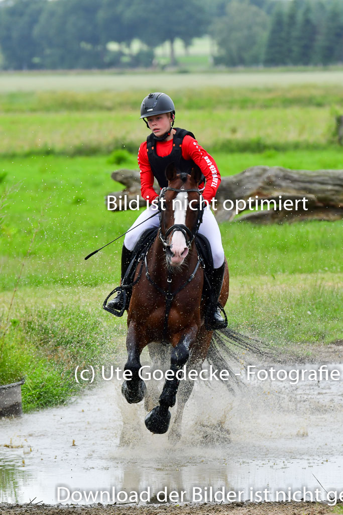 Goldene Schärpe Pferde  in Löningen  11+12.6.22 | 11062022 - Gelände 587 Abt