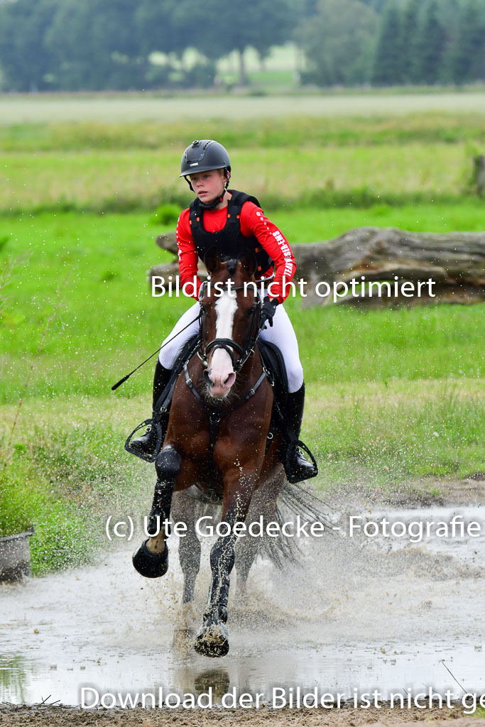 Goldene Schärpe Pferde  in Löningen  11+12.6.22 | 11062022 - Gelände 588 Abt