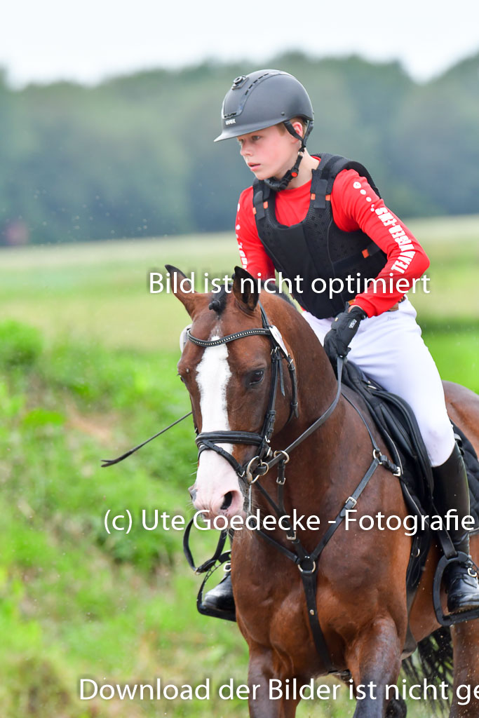 Goldene Schärpe PFerde  in Löningen  11+12.6.22 | 11062022 - Gelände 590 Abt